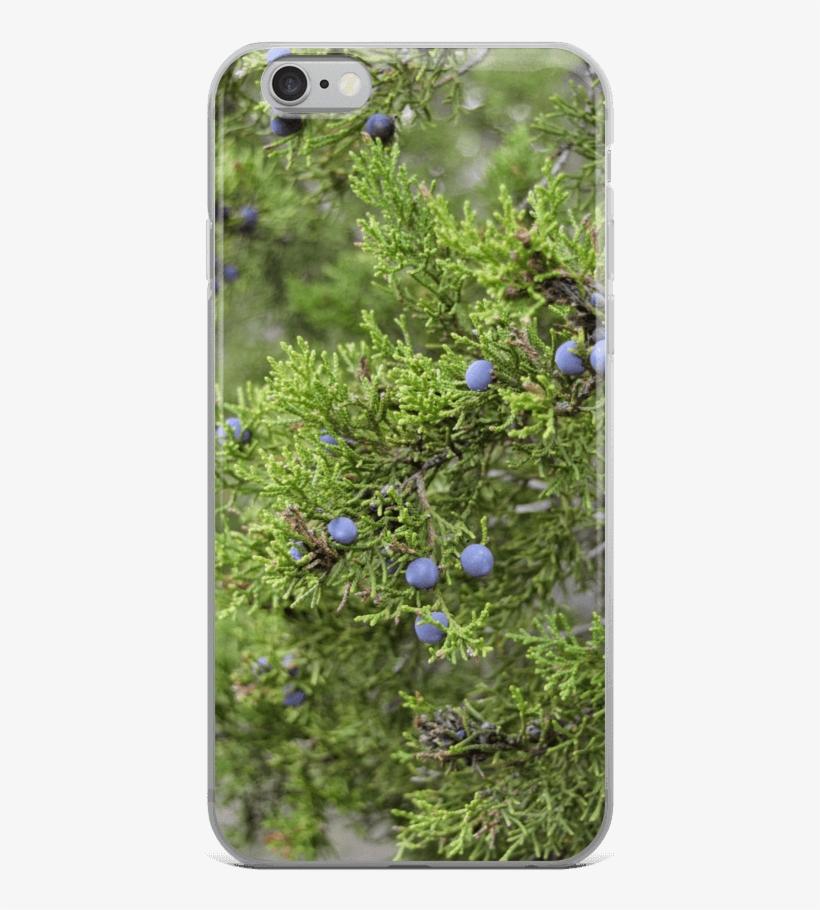 Smartphone, transparent png