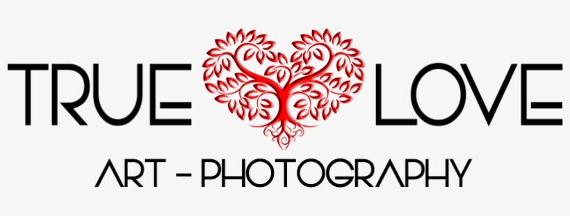 Quinceañera - - Graphic Design, transparent png
