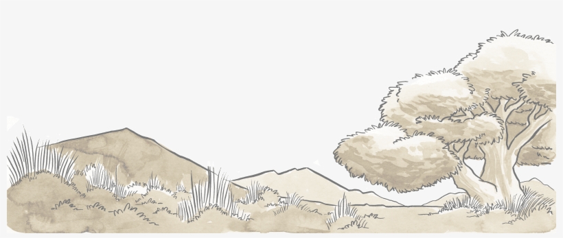 Com/what To Pack For Certain Death 11cc8f343f31 - Illustration, transparent png