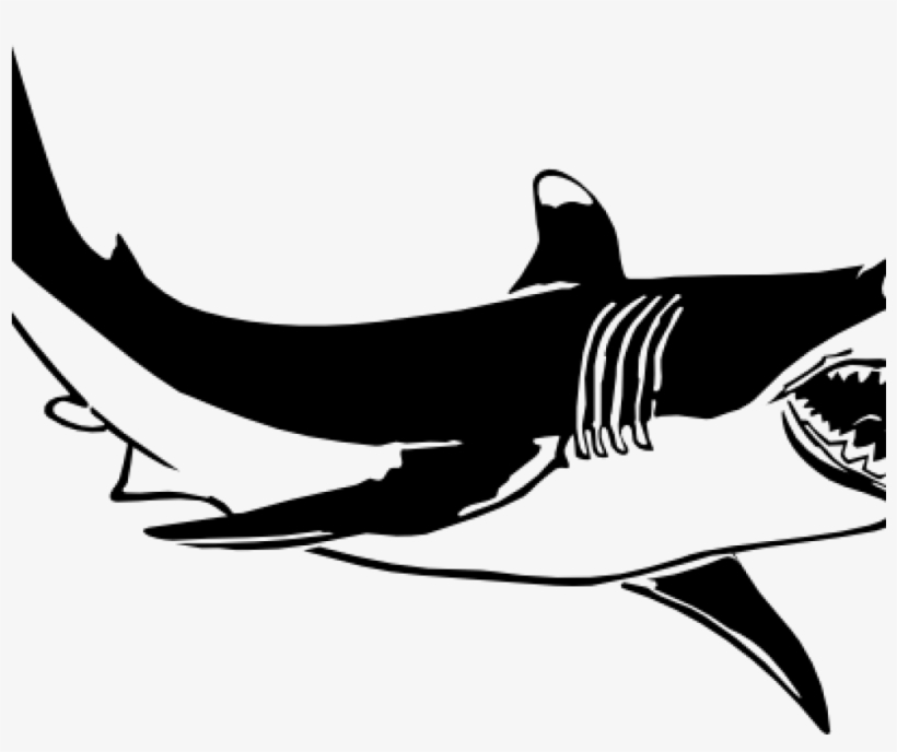 Shark Clipart Black And White Shark Clipart Black And - Shark And The Goldfish Quotes, transparent png