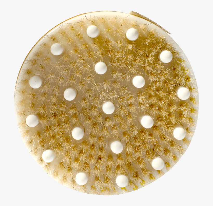 Daily Detox Massage Brush Daily Concepts Luxury Spa - Circle, transparent png