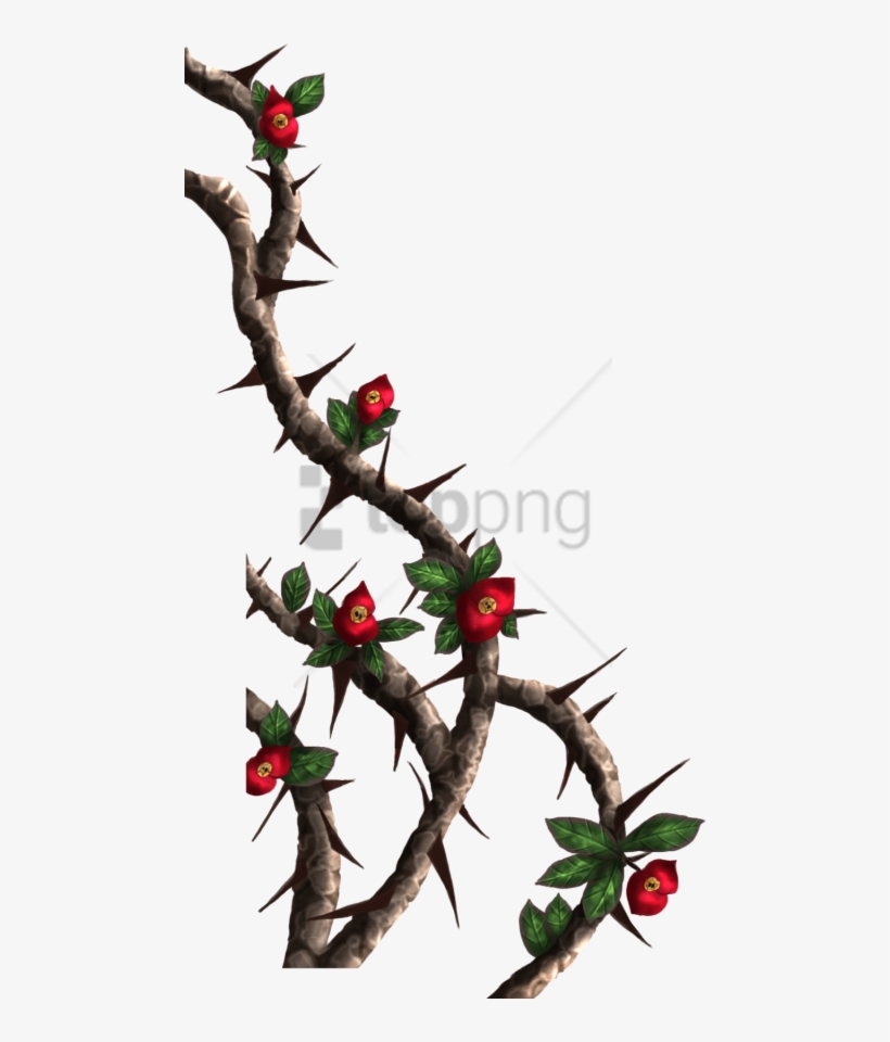 Free Png Download Rose Thorns Png Images Background - Thorn Vine, transparent png