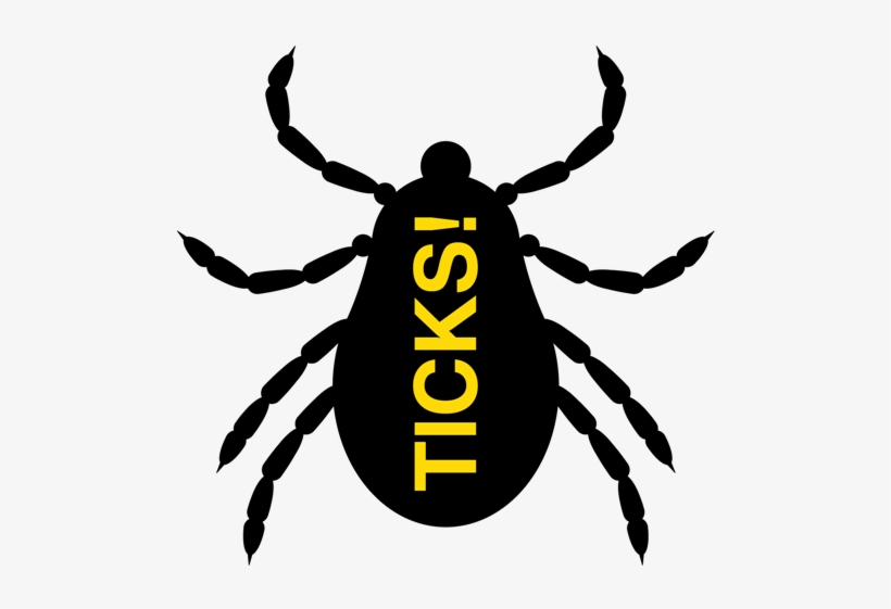 Extreme Pest Services - Tick, transparent png