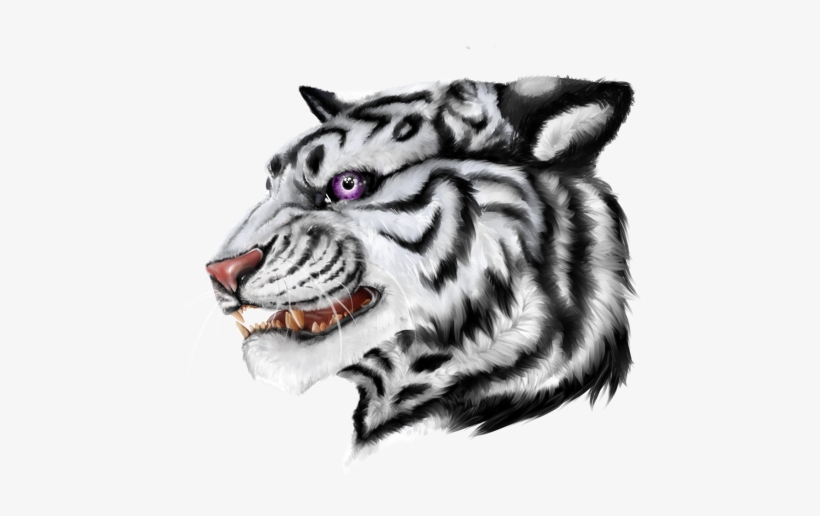 Discord - Kyubey - Siberian Tiger, transparent png