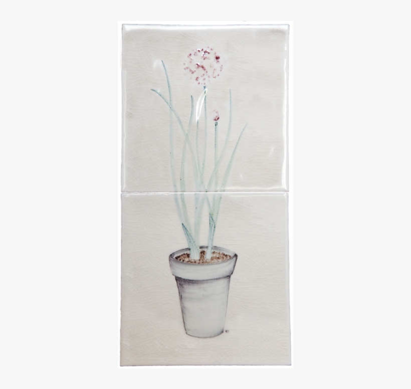 Planter Chives - Vase, transparent png
