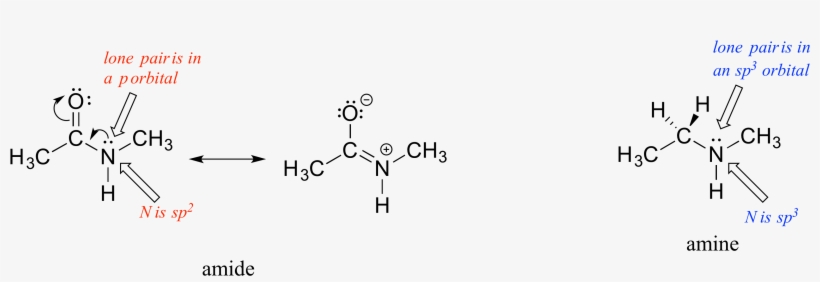 In Fact, The Latter Picture Is More Accurate - Amide Hybridization, transparent png