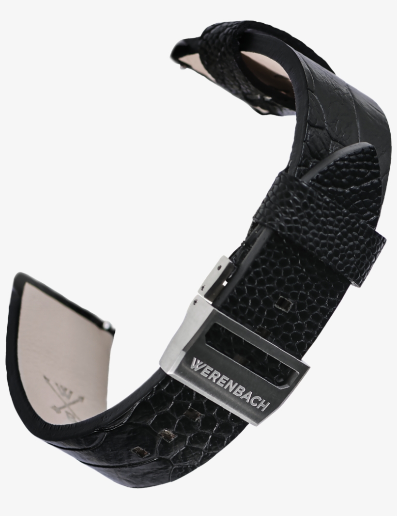 Strap, transparent png