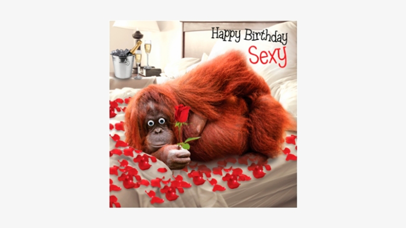 Birthday Funky Quirky Unusual Modern Cool Card Cards - Sexy Birthday Cards, transparent png