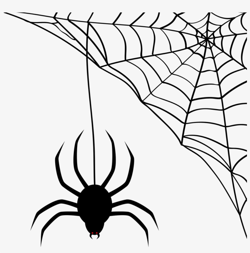 Vector - Aranha E Teia Halloween, transparent png