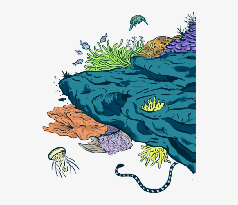 Oceans By Educating The Next Generation Of Diverse - Illustration, transparent png
