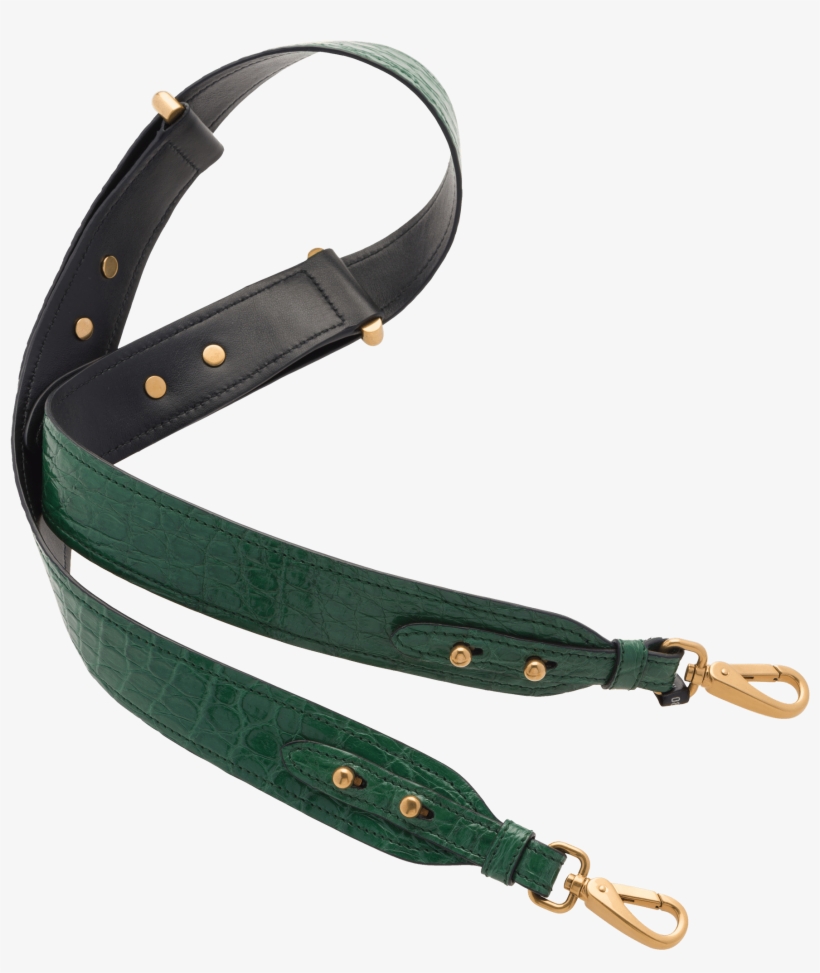 Belt, transparent png