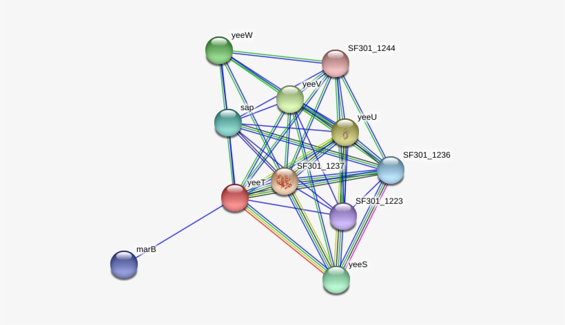 Circle, transparent png