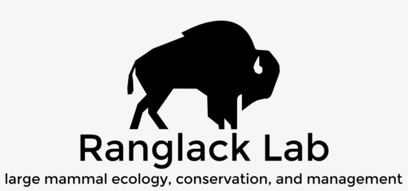 Ranglack Lab Logo Black Hires Format=1500w, transparent png