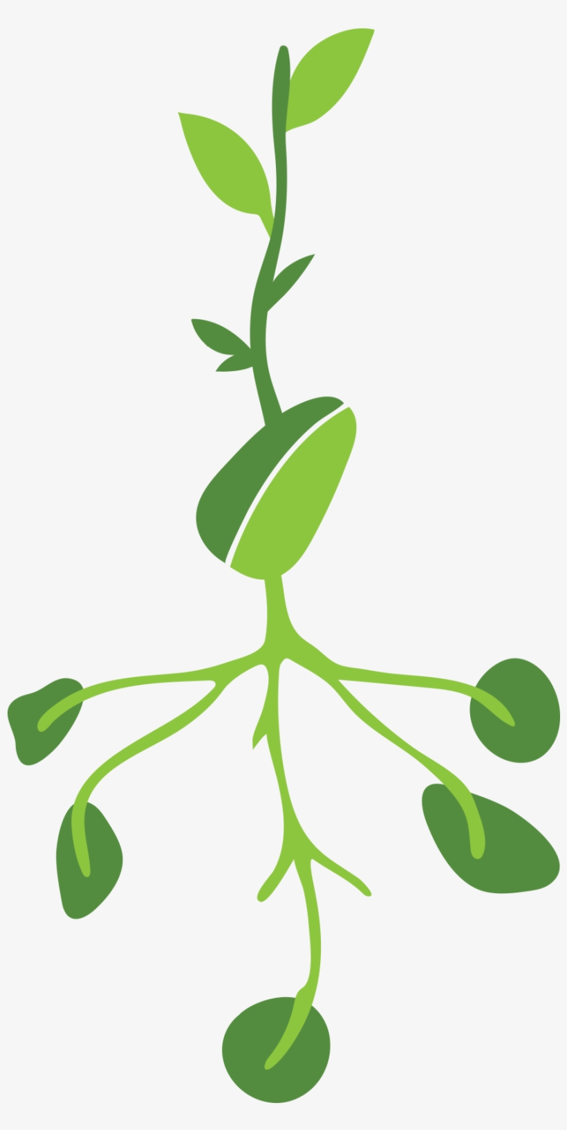 Help Cultivate Achievement, transparent png