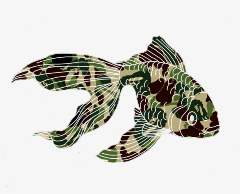 Report Abuse - Lionfish, transparent png