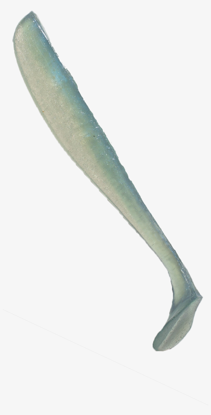 Blue Glimmer - Peniocereus Greggii, transparent png
