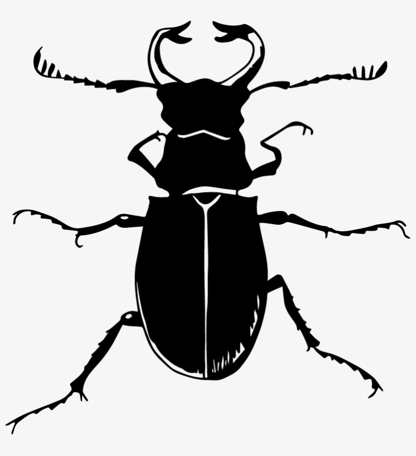 Vinilo Pared Ilustración Cucaracha - رسم خنفساء, transparent png