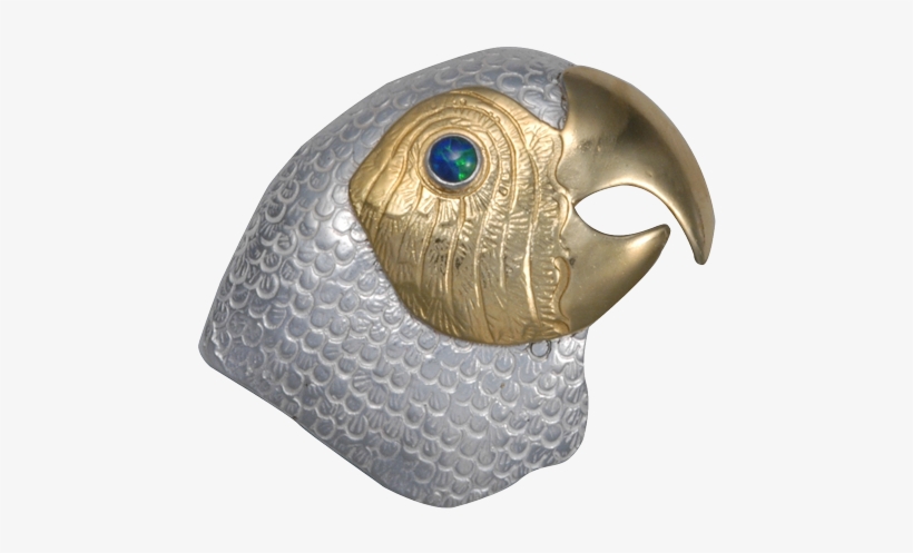 Parrot, transparent png