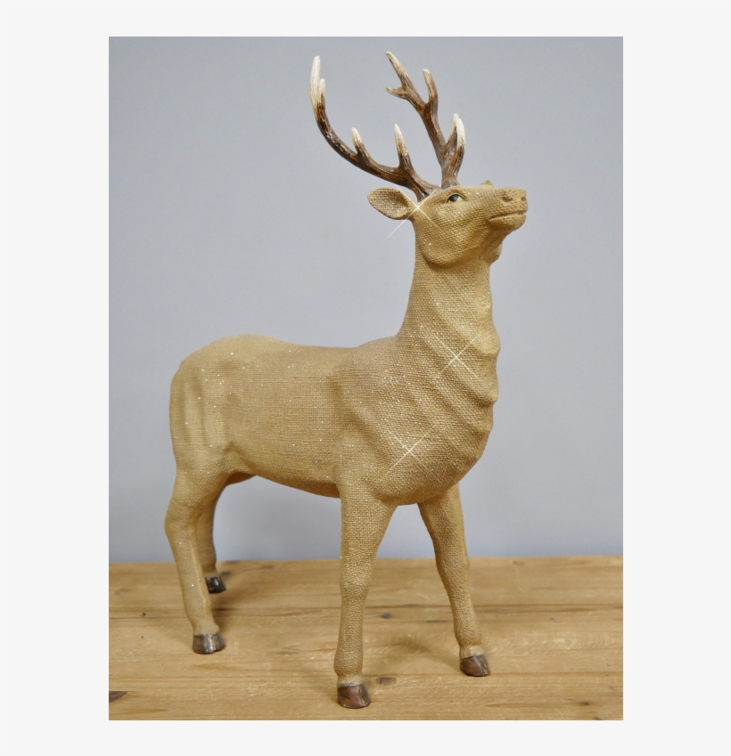 Elk, transparent png