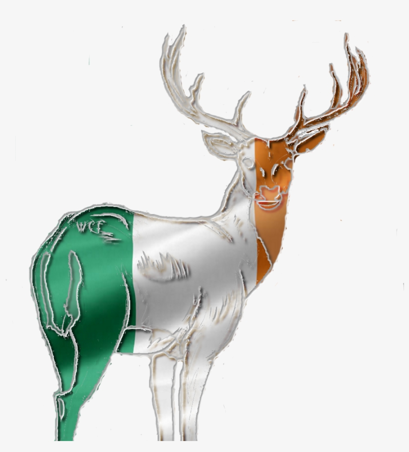 Ireland-red Deer Stag Photo Irelandreddeerstag - Elk, transparent png