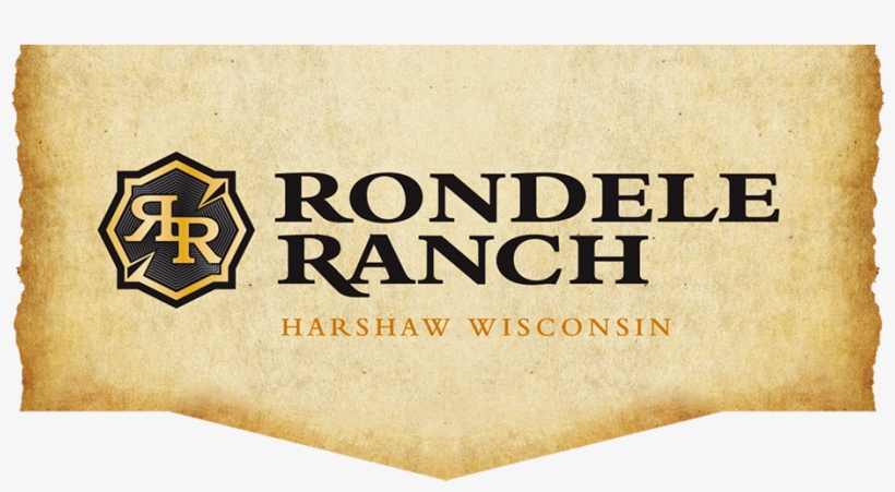 Graphic Design, transparent png