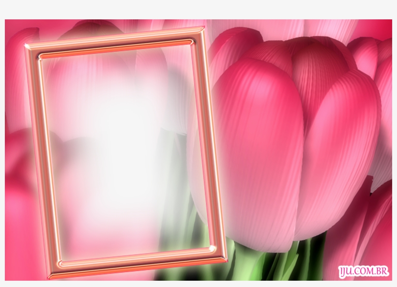 Molduras Para Fotos Flores - Flower Frames Png Free, transparent png