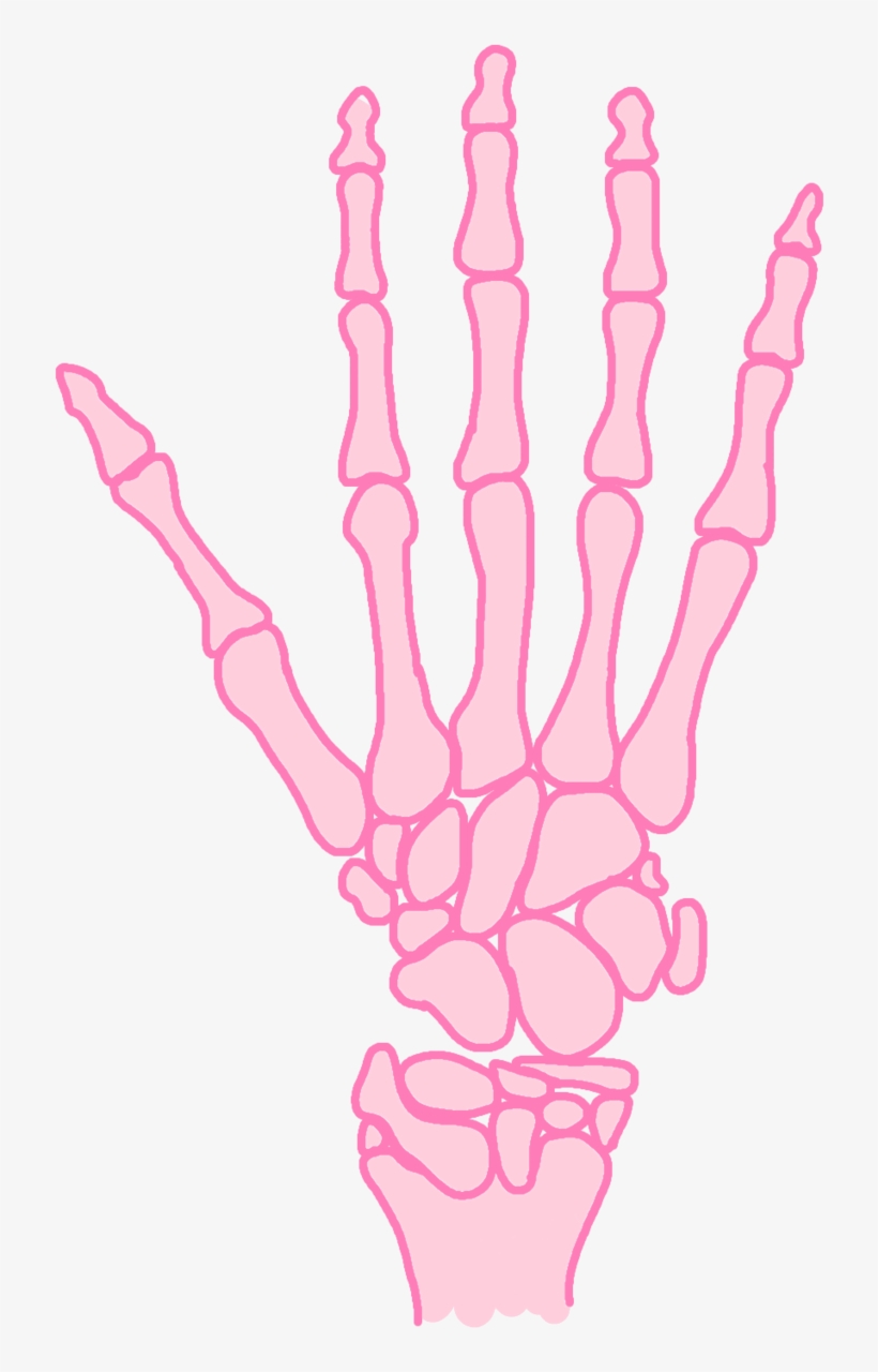 Skeleton Bones Elcorazonmuerto - Drawing, transparent png