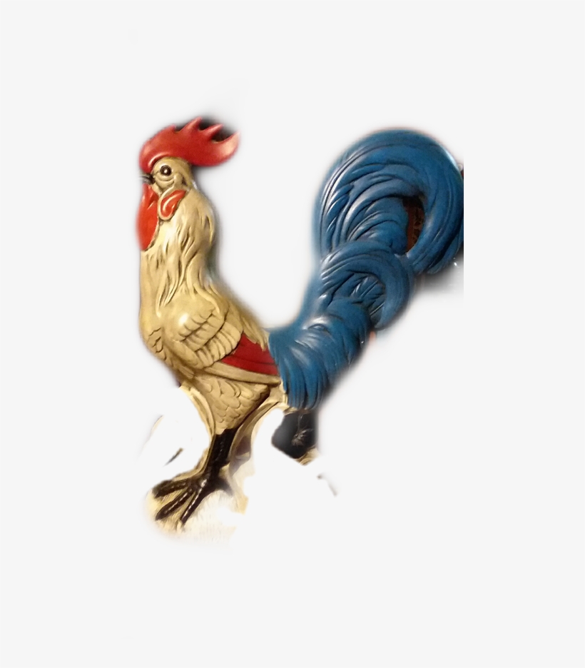Rooster, transparent png