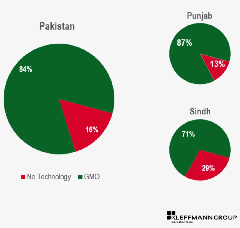 Bt Cotton Adoption In Pakistan 2011 And Its Provinces - Pakistan Agriculture Chart, transparent png
