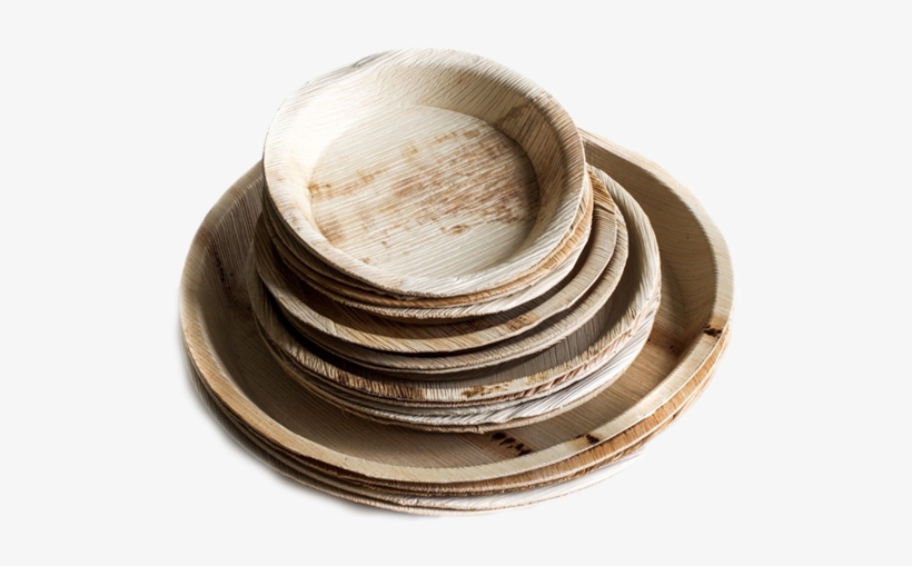 These Hygienic, Non Odorous, Non Toxic, Light Weight - Plywood, transparent png