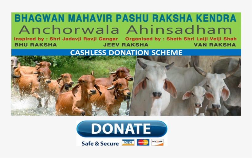 Dairy Cow, transparent png