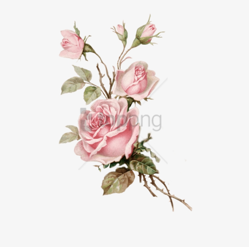 Free Png Download Old Rose Png Images Background Png - Vintage Pink Floral Png, transparent png