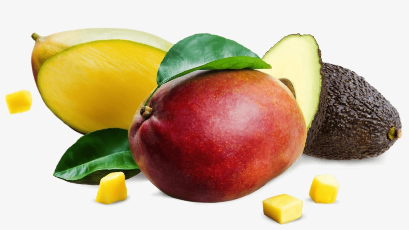 Our Products - Avocado, transparent png