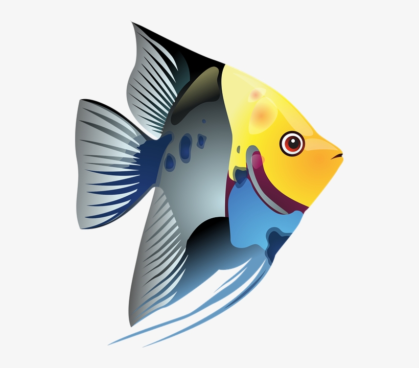 Free Tropical Fish Clipart, transparent png