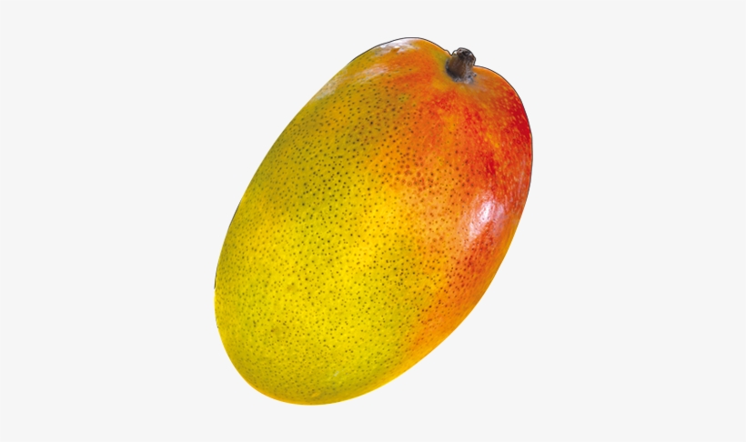 Alphonso Mango Png Pic - Seedless Fruit, transparent png