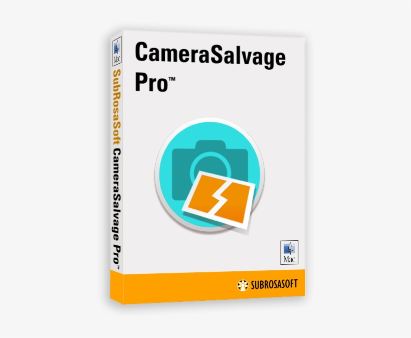Camera Salvage Pro Is Designed To Recover Picture And - Graphic Design, transparent png