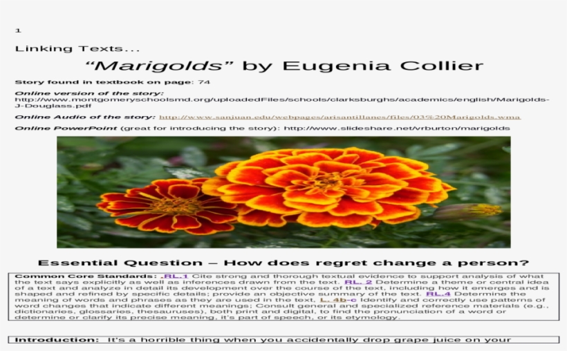 9 Unit 4 Unit 4 Comp Web Viewidentify And Correctly - Tagetes Patula, transparent png