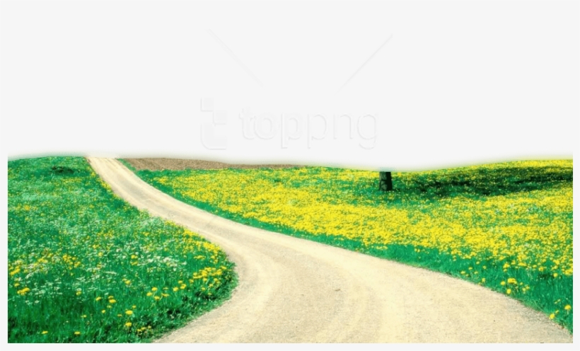 Free Png Download Nature Png Images Background Png - Field Of Flower Hd, transparent png
