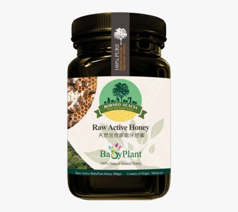 Babyplant Raw Active Honey - Bentong Ginger Product, transparent png