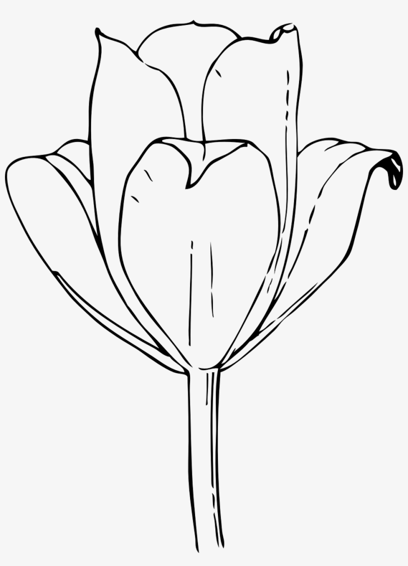 Flower Black And White Floral - Tulip Flower Black And White, transparent png