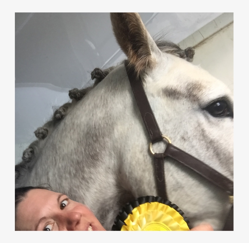 Picture - Halter, transparent png