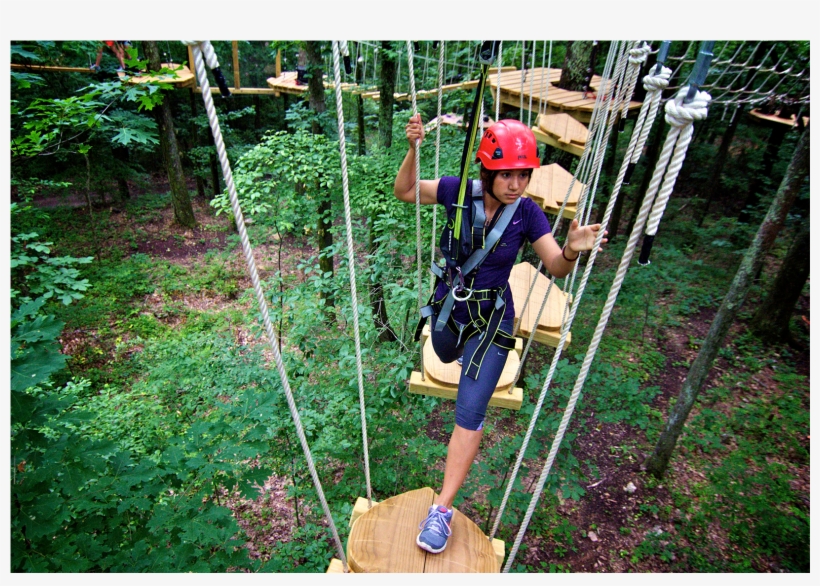 Made Possible By The Generosity Of The Hugh Kaul Foundation, transparent png