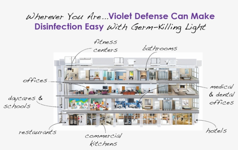 Violet Defense Applications - Makes A Man Healthy Wealthy, transparent png