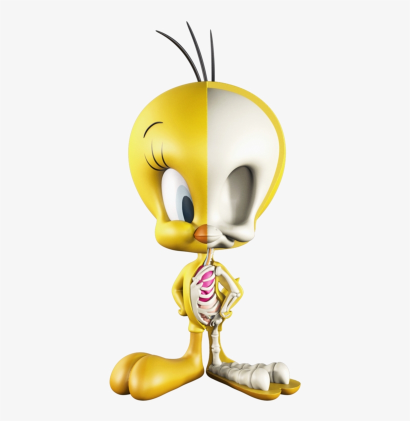 Xxray Tweety Bird - Xray Jason Freeny, transparent png