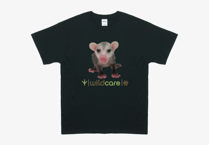 T-shirt, transparent png