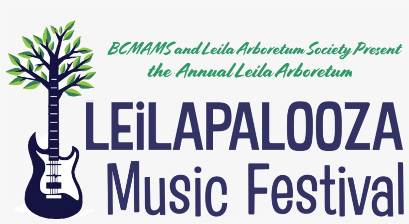 Leilapalooza - Festival Do Rio 2010, transparent png