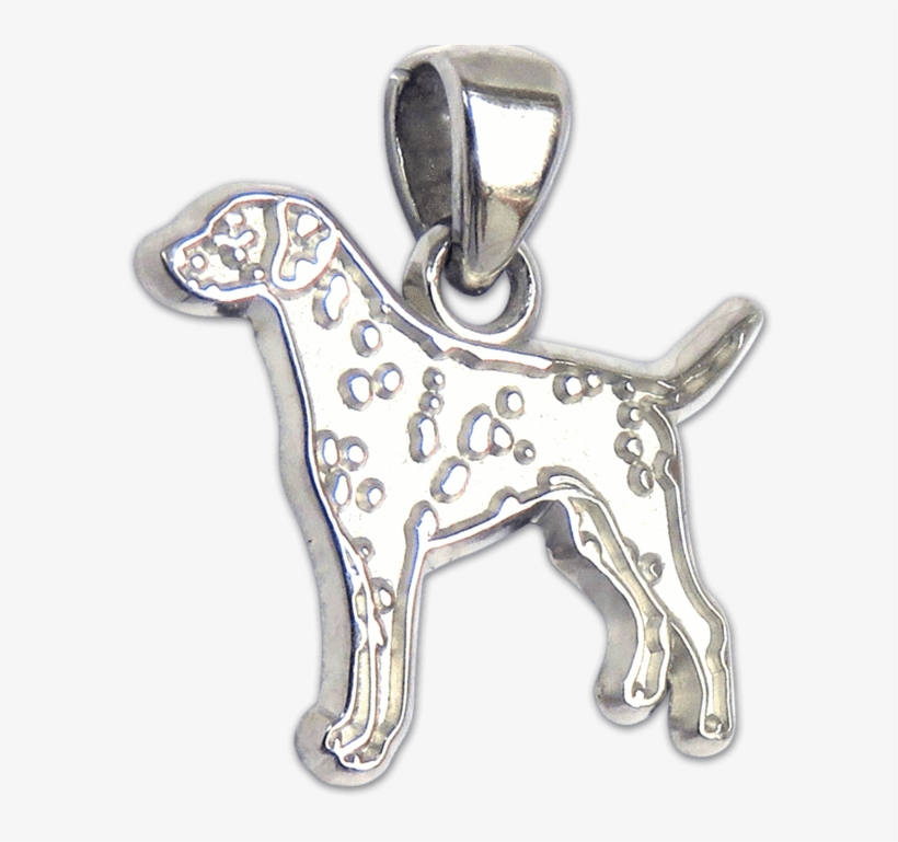 Dalmatian Pendant - Chihuahua, transparent png