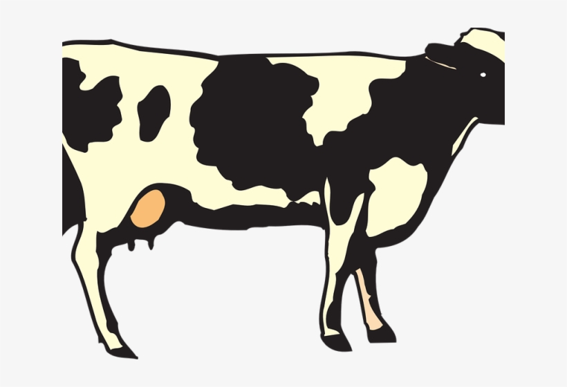 Last Viewed Post - Animal Or Plant Worksheet, transparent png