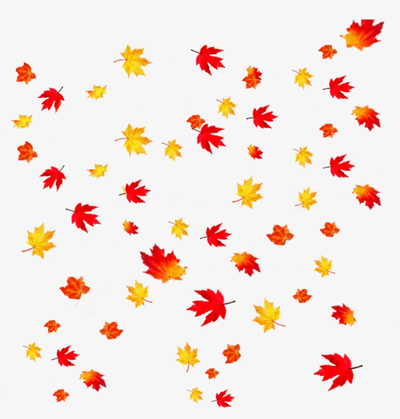 Fallingleaves Sticker - Transparent Background Falling Leaves, transparent png