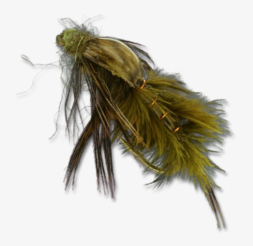 Mercer's Poxyback Green Drake - White Pine, transparent png